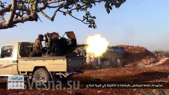 :      ,         ,   |  