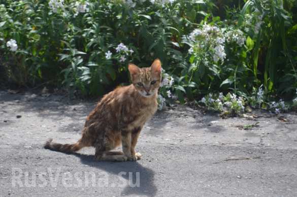       ,   ,   ,      (  ) |  