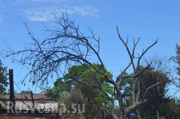 В Донецке в результате обстрела ВСУ сгорел дом и 7 автомобилей (ФОТОРЕПОРТАЖ «Русской Весны») | Русская весна