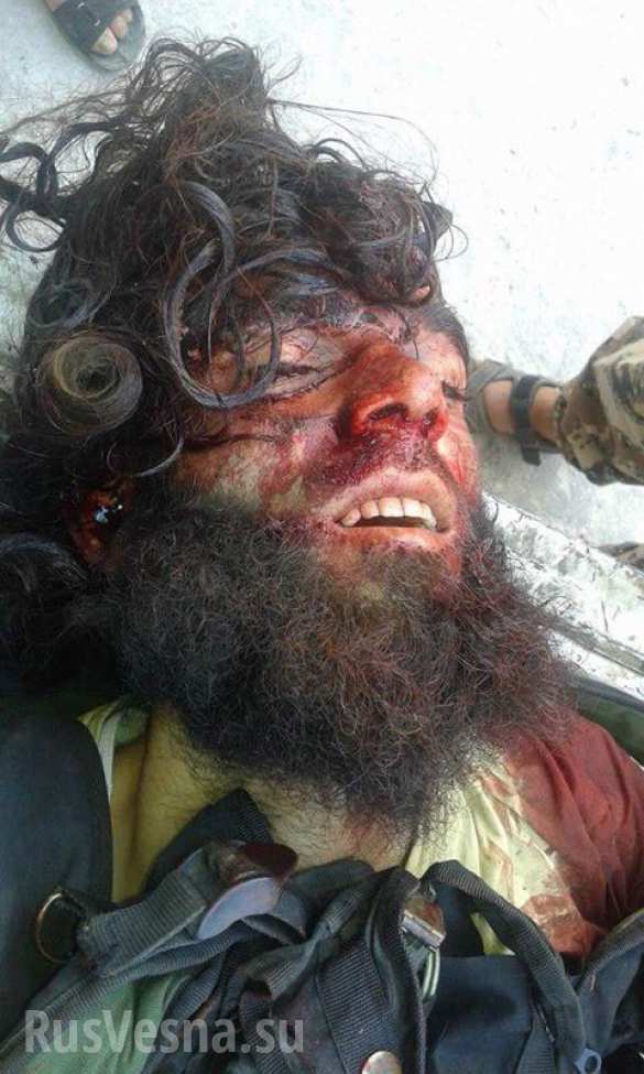 Горы Латакии завалены трупами боевиков, НВФ «Татарстан» и «Кавказ» сбежали из-за перебоев в поставках (ФОТО, ВИДЕО 18 ) | Русская весна