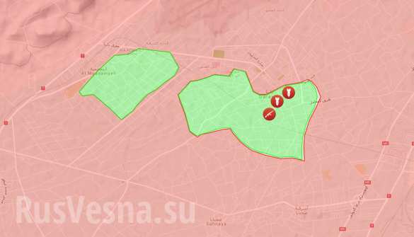   :   50 ,      ,      (, ) |  