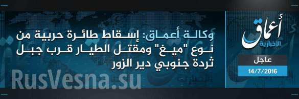 Жестокие кадры: боевики ИГИЛ сбили истребитель МИГ над Дейр эз-Зор и распяли пилота (ФОТО 18 ) | Русская весна