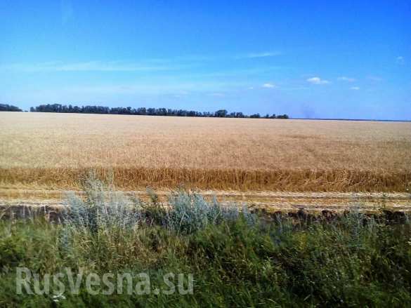Мины, унижения и смерти от жары — реалии транспортной блокады Донбасса (ФОТО) | Русская весна