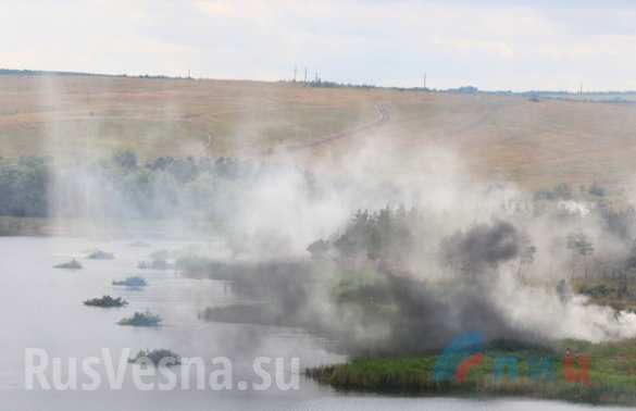 В ЛНР прошли масштабные военные учения (ФОТО) | Русская весна