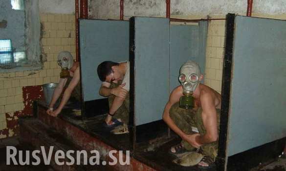  ,   **,            ()