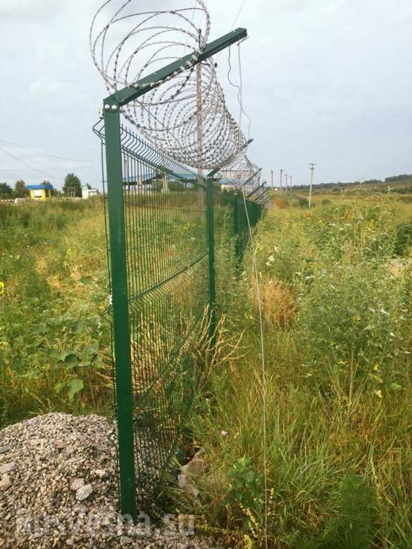 «Яма стоимостью 4 миллиарда гривен», — опубликованы свежие фото «стены Яценюка» на границе с РФ (ФОТО) | Русская весна