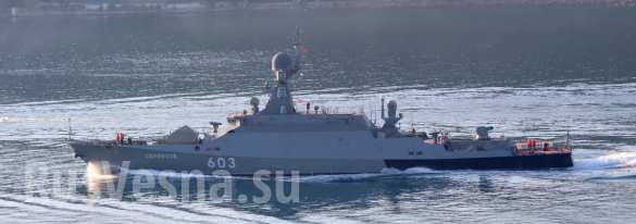 Русский «Тарантул» с ракетами «Москит» прибыл в Сирию, а «Калибры» вернулись в Севастополь (ВИДЕО, ФОТО) | Русская весна