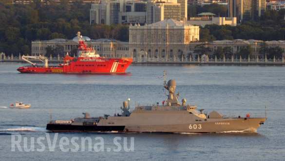 Русский «Тарантул» с ракетами «Москит» прибыл в Сирию, а «Калибры» вернулись в Севастополь (ВИДЕО, ФОТО) | Русская весна