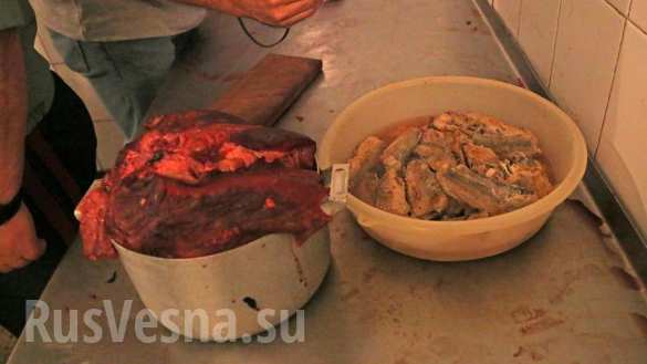 В Одесской области солдат кормили протухшими продуктами (ФОТО) | Русская весна