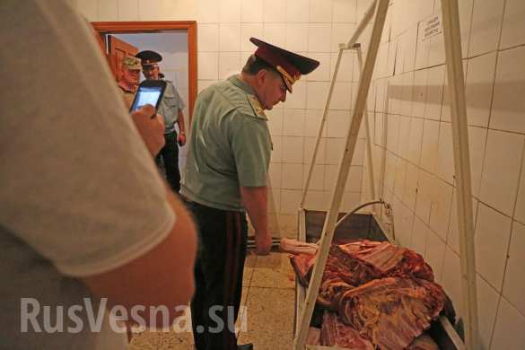 В Одесской области солдат кормили протухшими продуктами (ФОТО) | Русская весна