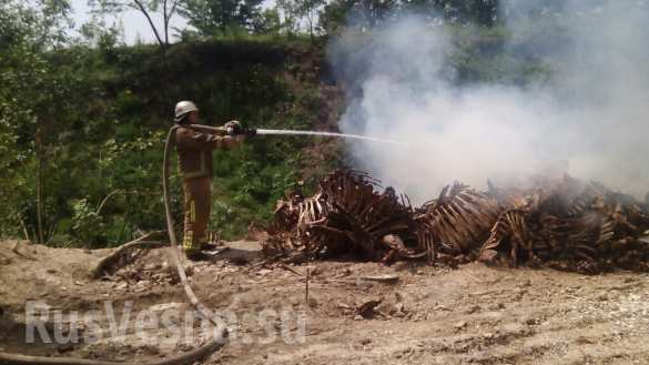 В Киевской области горит свалка, есть угроза оползня (ФОТО) | Русская весна