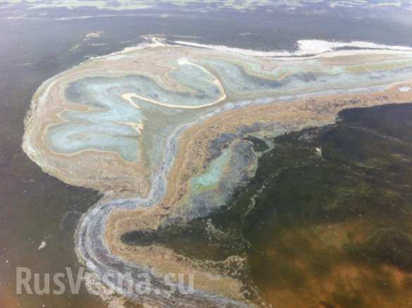 На Байкале обнаружено огромное пятно неизвестного происхождения (ФОТО) | Русская весна