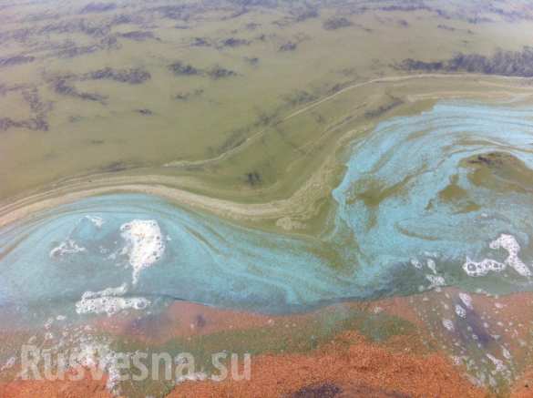 На Байкале обнаружено огромное пятно неизвестного происхождения (ФОТО) | Русская весна