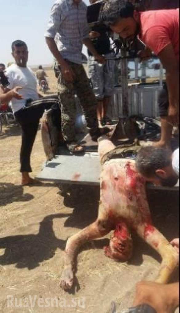 ВАЖНО: Первые фото с места крушения российского вертолета Ми-8 (ФОТО 18 ) | Русская весна