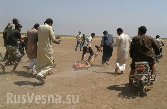 ВАЖНО: Первые фото с места крушения российского вертолета Ми-8 (ФОТО 18 ) | Русская весна