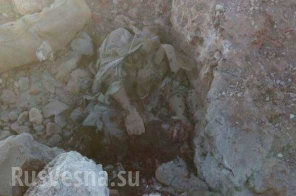 :         ,         (,  18 ) |  