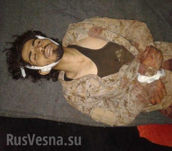   :          (,  18 ) |  