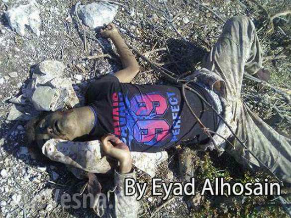 Горы завалены трупами: ВКС РФ и Армия САР уничтожили 90 боевиков в Латакии (ФОТО, ВИДЕО 18 ) | Русская весна