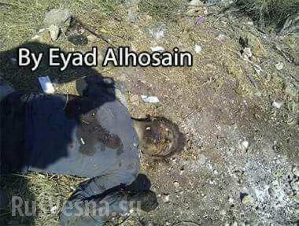 Горы завалены трупами: ВКС РФ и Армия САР уничтожили 90 боевиков в Латакии (ФОТО, ВИДЕО 18 ) | Русская весна