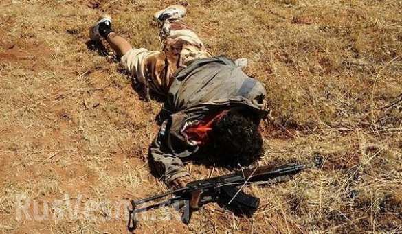   :         660       (,  18 ) |  