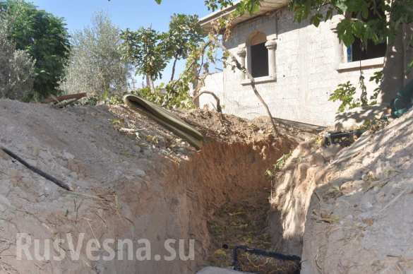 :       ,     ,     (, ) |  