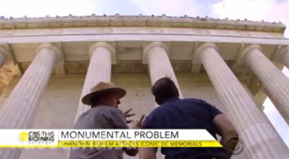 Черная слизь покрыла памятники в Вашингтоне (ФОТО) | Русская весна