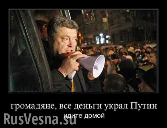   !        / ,      ()