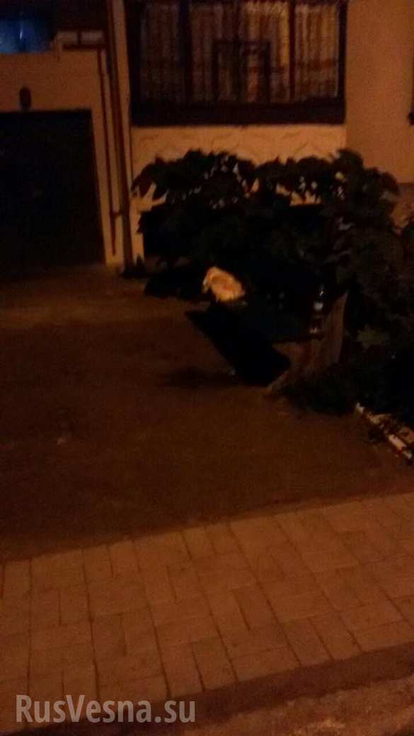 Жуткое убийство на Украине: мужчина забил ногами 8-месячного ребенка посреди улицы (ФОТО) | Русская весна