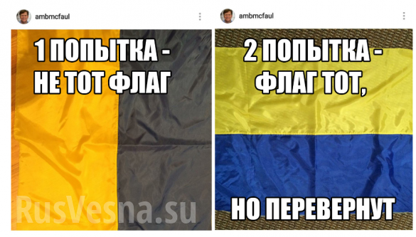 Зрада: экс-посол США дважды поздравил украинцев не тем флагом (СКРИН) | Русская весна