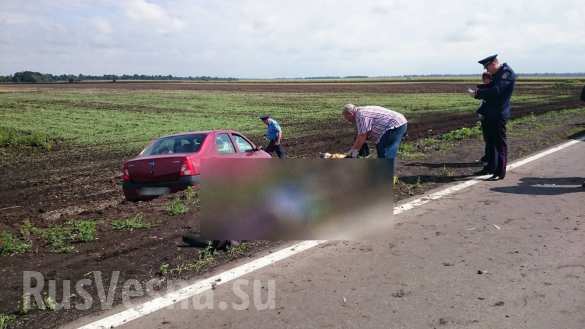В Харьковской области водитель убил троих дорожных работников ( ФОТО) | Русская весна