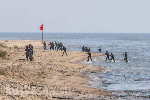 Впечатляющие кадры: Гиви и спецназ ДНР отработали штурм Мариуполя с моря ( ФОТО, ВИДЕО) | Русская весна