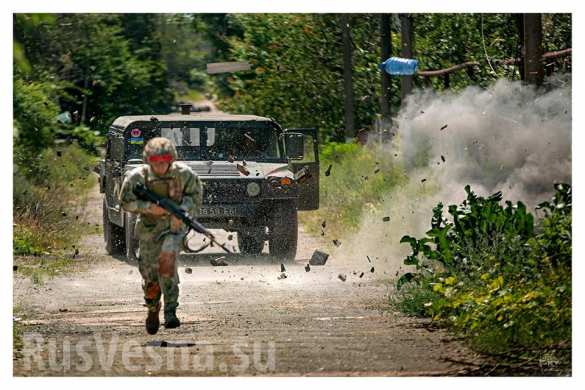 Министр обороны Украины уволил своего советника из-за поддельных фотографий из зоны «АТО» ( ФОТО) | Русская весна