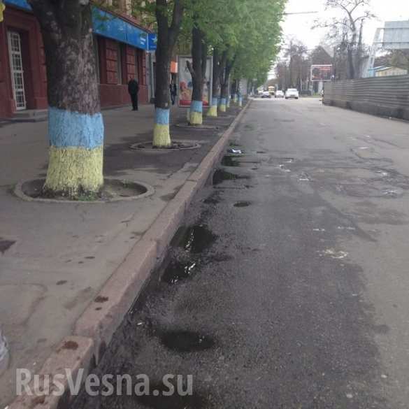 Я научу тебя Украину любить — в Днепропетровске «патриот» покрасил забора соседа-«сепаратиста» в цвета флага (ФОТО, ВИДЕО) | Русская весна