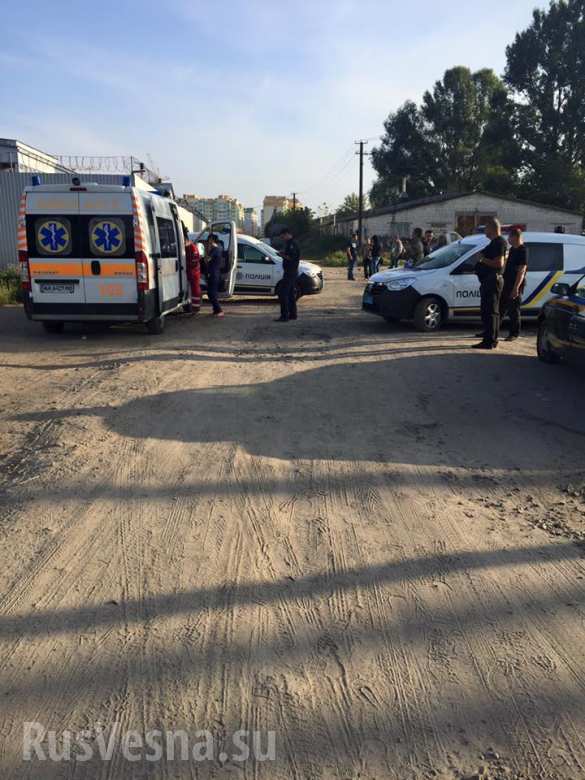     :  200-,  300- (, ) |  