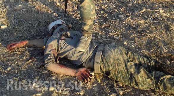 Убитые боевики Хама Кровавая жатва: Армия Сирии и ВКС РФ уничтожили множество террористов в Алеппо и Хаме (ВИДЕО, КАРТА, ФОТО 18 ) | Русская весна