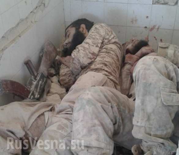 Последствия боев и убитые боевики в Алеппо Кровавая жатва: Армия Сирии и ВКС РФ уничтожили множество террористов в Алеппо и Хаме (ВИДЕО, КАРТА, ФОТО 18 ) | Русская весна