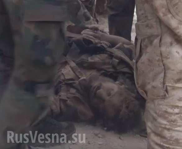 Последствия боев и убитые боевики в Алеппо Кровавая жатва: Армия Сирии и ВКС РФ уничтожили множество террористов в Алеппо и Хаме (ВИДЕО, КАРТА, ФОТО 18 ) | Русская весна