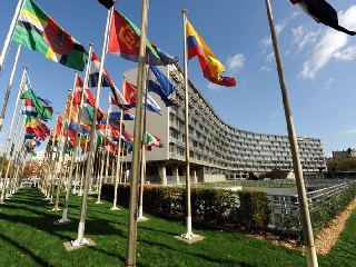 ��� �������.