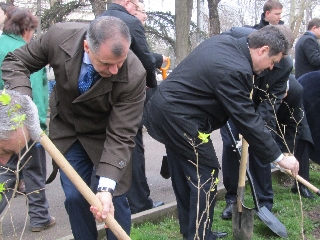 СИТ новости.