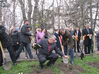 СИТ новости. СИТ новости.