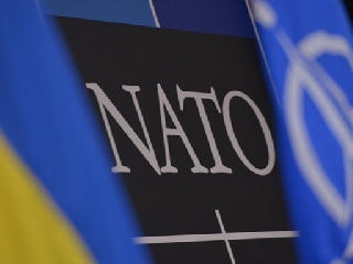 СИТ новости. СИТ новости.