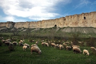 СИТ новости. СИТ новости.
