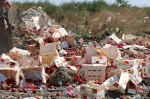 ������������: �������� ���: ��� � ����� ���������� �������� �� ������