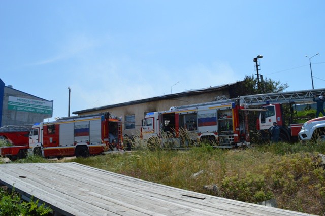 DSC_0747-800x600