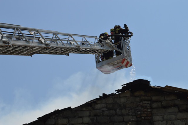 DSC_0739-800x600