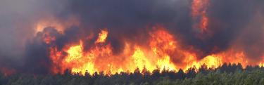 В Крыму объявили о чрезвычайной пожарной опасности