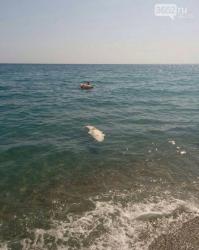 Мертвого крокодила нашли на крымском пляже, - ФОТОФАКТ